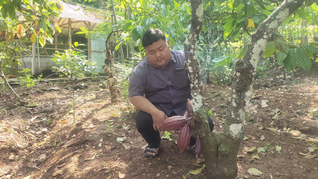 Peluang Petani Kakao Nglanggeran DIY Bisa Tembus Ekspor ke Swiss Peluang Petani Kakao Nglanggeran DIY Bisa Tembus Ekspor ke Swiss