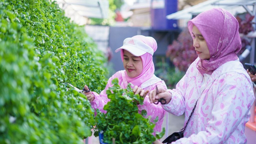 BRI Peduli-BRInita Bantu Warga Ubah TPS Liar Jadi Urban Farming BRI Peduli-BRInita Bantu Warga Ubah TPS Liar Jadi Urban Farming