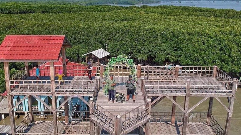 9 Wisata Mangrove di Indonesia Membentang dari Jawa hingga Papua 9 Wisata Mangrove di Indonesia Membentang dari Jawa hingga Papua