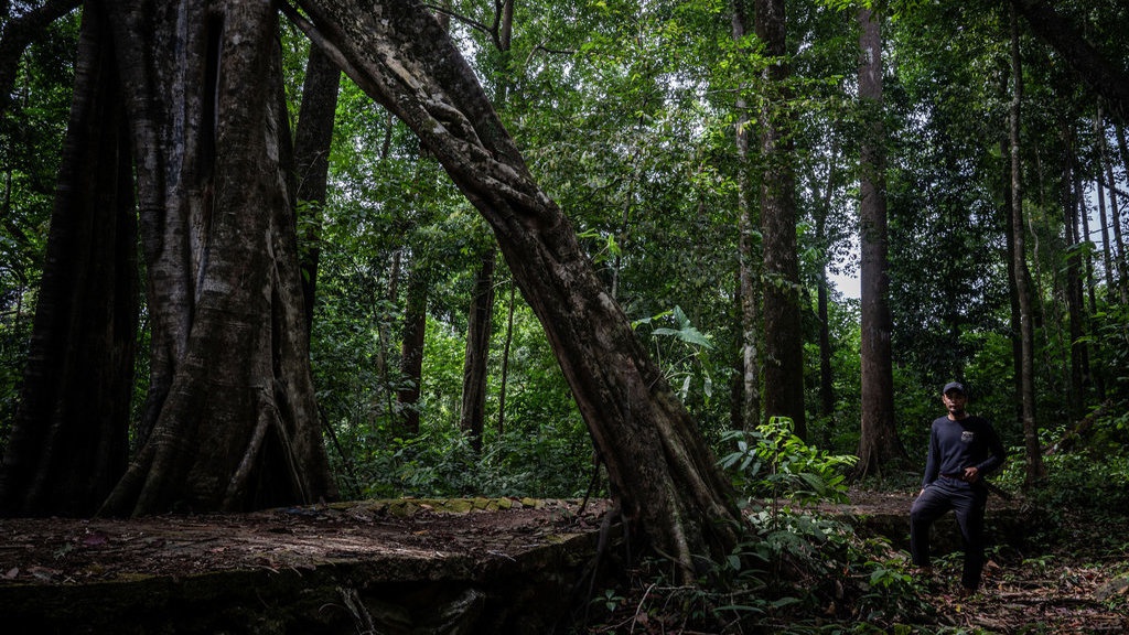 Megafauna Asia Tenggara Menipis akibat Kembalinya Hutan Tropis? Megafauna Asia Tenggara Menipis akibat Kembalinya Hutan Tropis?