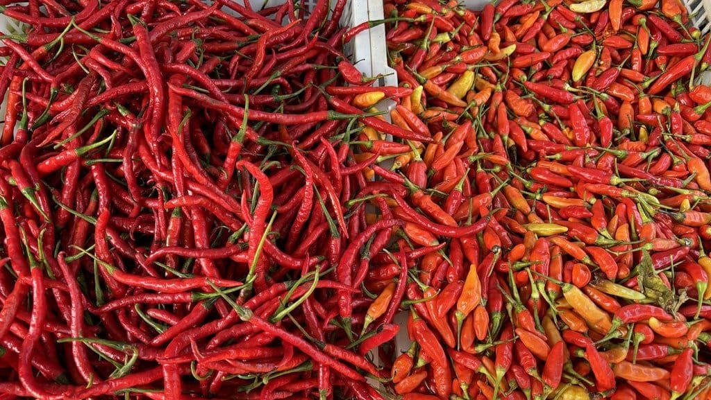 Update Harga Pangan Hari Ini: Cabai Naik, Daging Ayam Stabil Update Harga Pangan Hari Ini: Cabai Naik, Daging Ayam Stabil