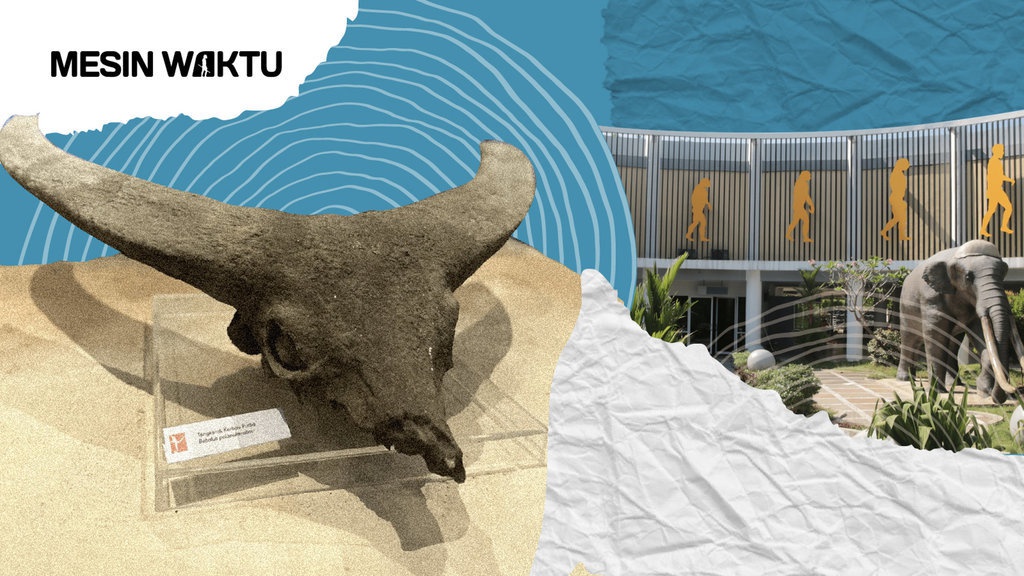 Museum Situs Semedo, Rumah Fosil Hominid & Primata Raksasa Jawa Museum Situs Semedo, Rumah Fosil Hominid & Primata Raksasa Jawa