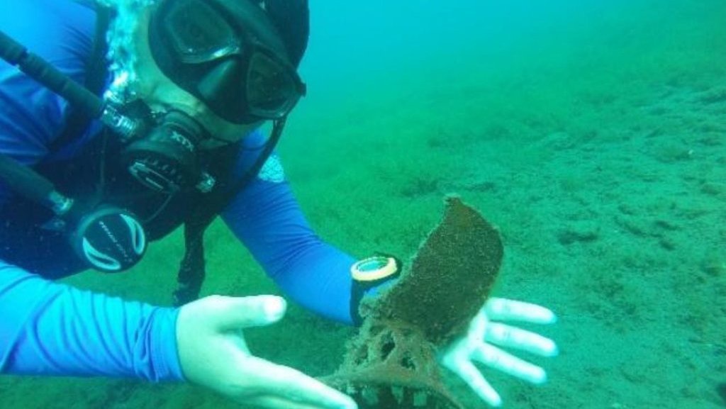 Situs Pulau Ampat: Peradaban Besi yang Tenggelam di Danau Matano Situs Pulau Ampat: Peradaban Besi yang Tenggelam di Danau Matano