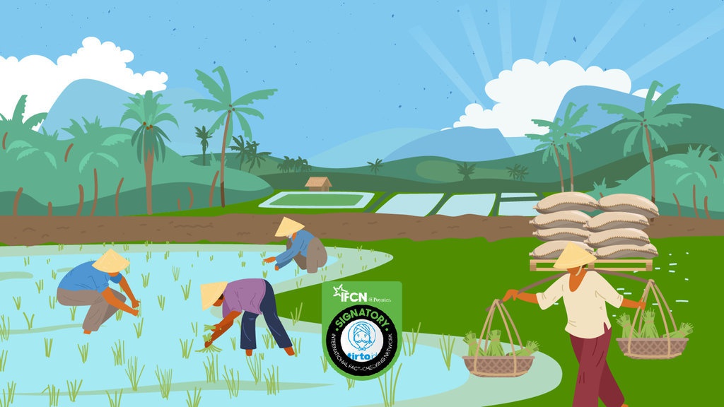 Ancaman Bencana Ekologis Berulang di Balik Ambisi Lumbung Pangan Ancaman Bencana Ekologis Berulang di Balik Ambisi Lumbung Pangan