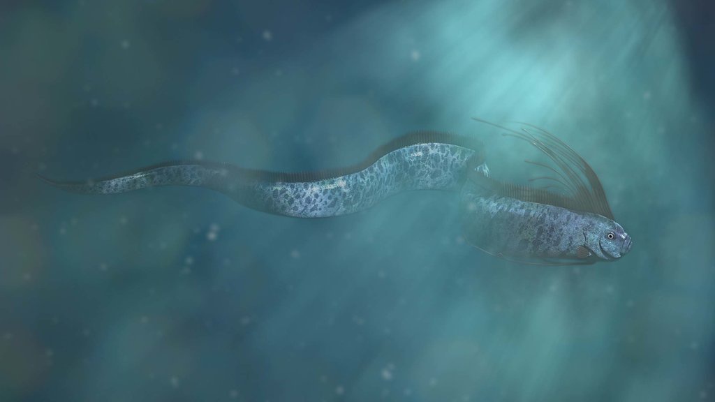 Ikan Oarfish Muncul Lagi di Meksiko, Pertanda Apa? Ikan Oarfish Muncul Lagi di Meksiko, Pertanda Apa?
