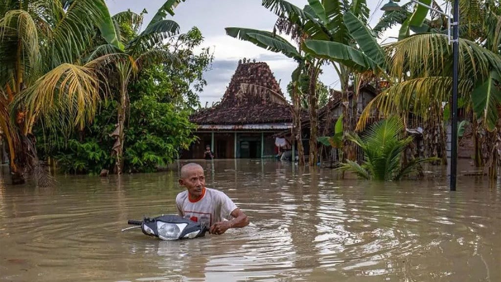 Update Banjir Grobogan Hari Ini 10 Maret, Dampak, Wilayah Update Banjir Grobogan Hari Ini 10 Maret, Dampak, Wilayah