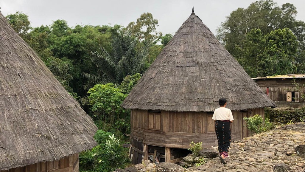 Menjulang dari Akar: Kisah Hidup Masyarakat Ruteng Pu'u Menjulang dari Akar: Kisah Hidup Masyarakat Ruteng Pu'u