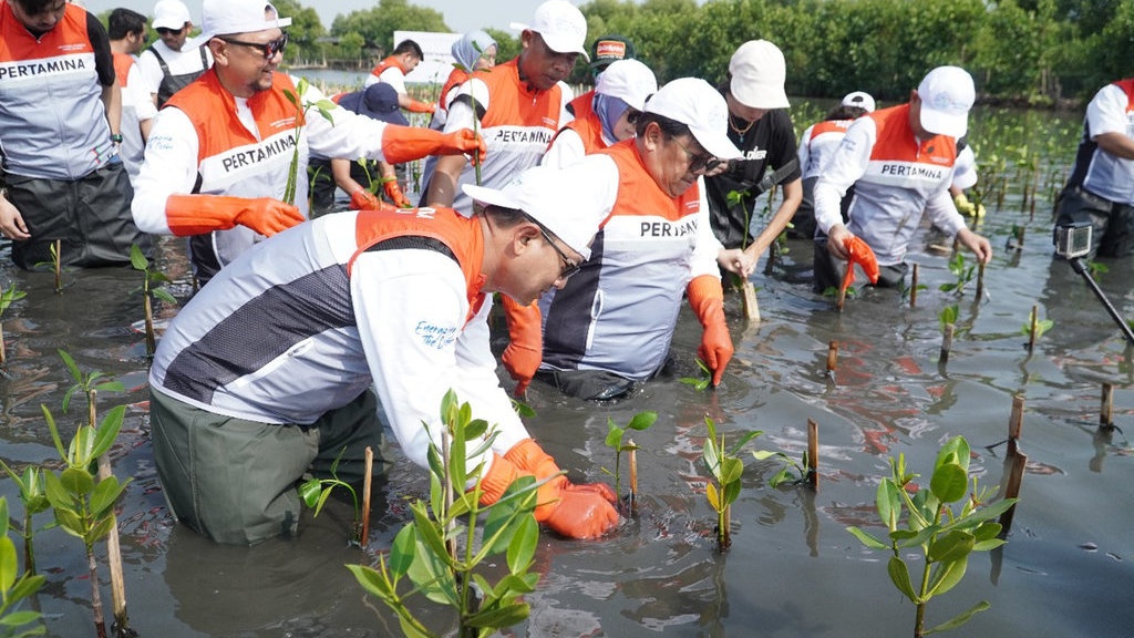 Hari Anak, Pertamina dan Siswa SD Tanam Puluhan Ribu Mangrove Hari Anak, Pertamina dan Siswa SD Tanam Puluhan Ribu Mangrove
