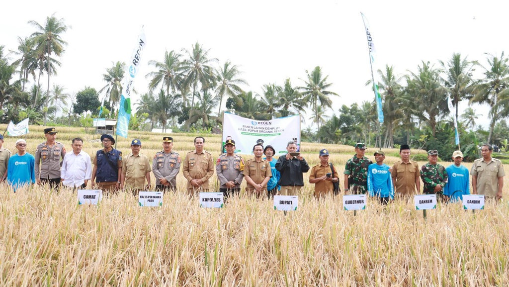 Sukses Tanam Padi Organik, Petani Lombok Timur Gelar Panen Raya Sukses Tanam Padi Organik, Petani Lombok Timur Gelar Panen Raya