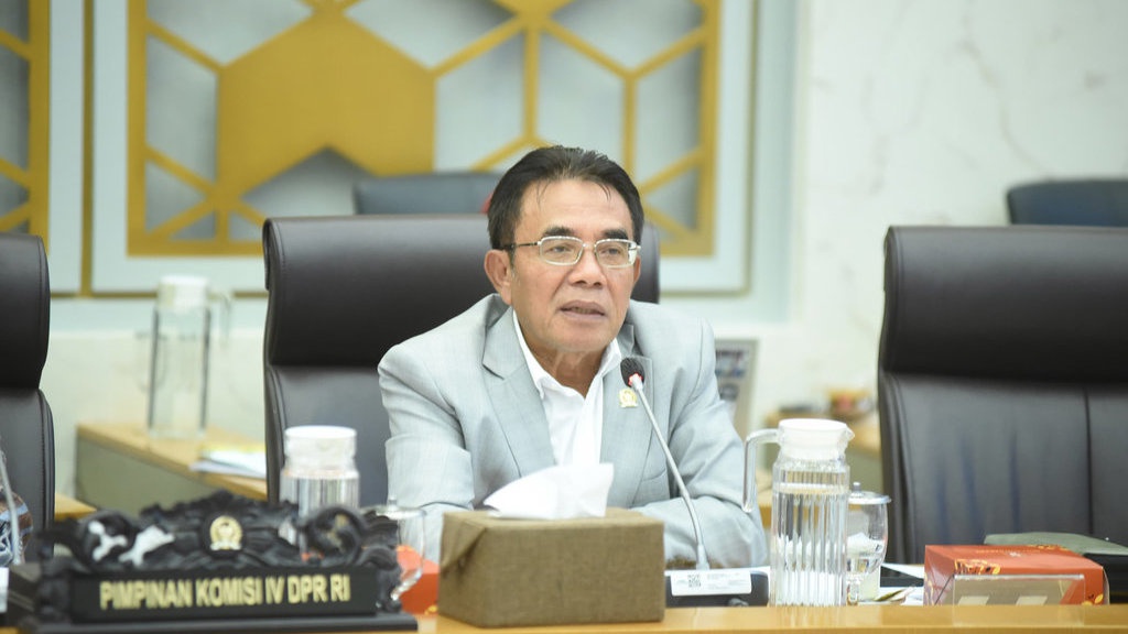 DPR Dorong Penguatan Tata Kelola dan Distribusi Pupuk Bersubsidi DPR Dorong Penguatan Tata Kelola dan Distribusi Pupuk Bersubsidi