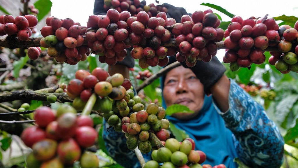 Wamenperin Sebut RI Siap Jadi Poros Industri Agro Negara BRICS Wamenperin Sebut RI Siap Jadi Poros Industri Agro Negara BRICS