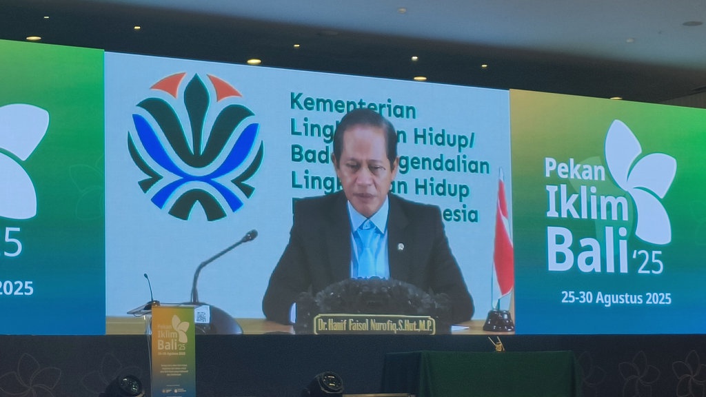 Es Abadi Pegunungan Jayawijaya Papua Diprediksi Luruh pada 2026 Es Abadi Pegunungan Jayawijaya Papua Diprediksi Luruh pada 2026