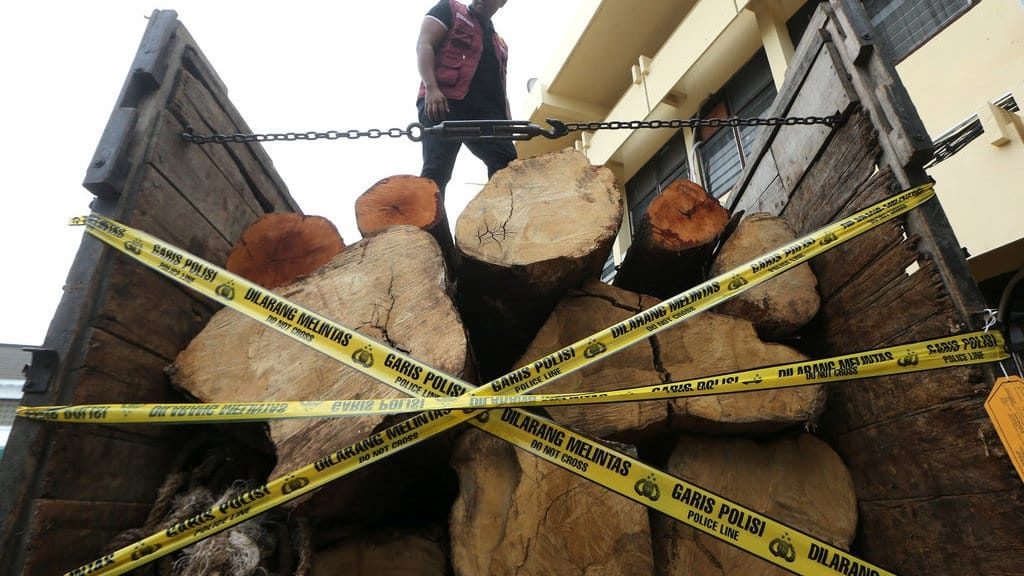 Kemenhut Tangkap 3 Pelaku Illegal Logging di SM Kerumutan Riau Kemenhut Tangkap 3 Pelaku Illegal Logging di SM Kerumutan Riau