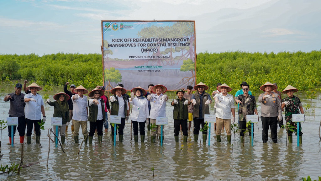 Menhut Targetkan Penanaman Mangrove 15.387 Hektare pada 2025 Menhut Targetkan Penanaman Mangrove 15.387 Hektare pada 2025