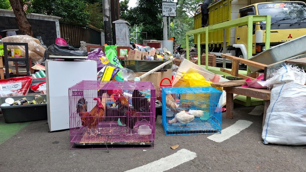 Cerita Pilu Pedagang Pasar Barito Saksikan Lapaknya Dibongkar Cerita Pilu Pedagang Pasar Barito Saksikan Lapaknya Dibongkar