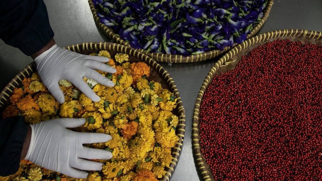 Menjelajahi Objek Wisata Medis Hortus Medicus