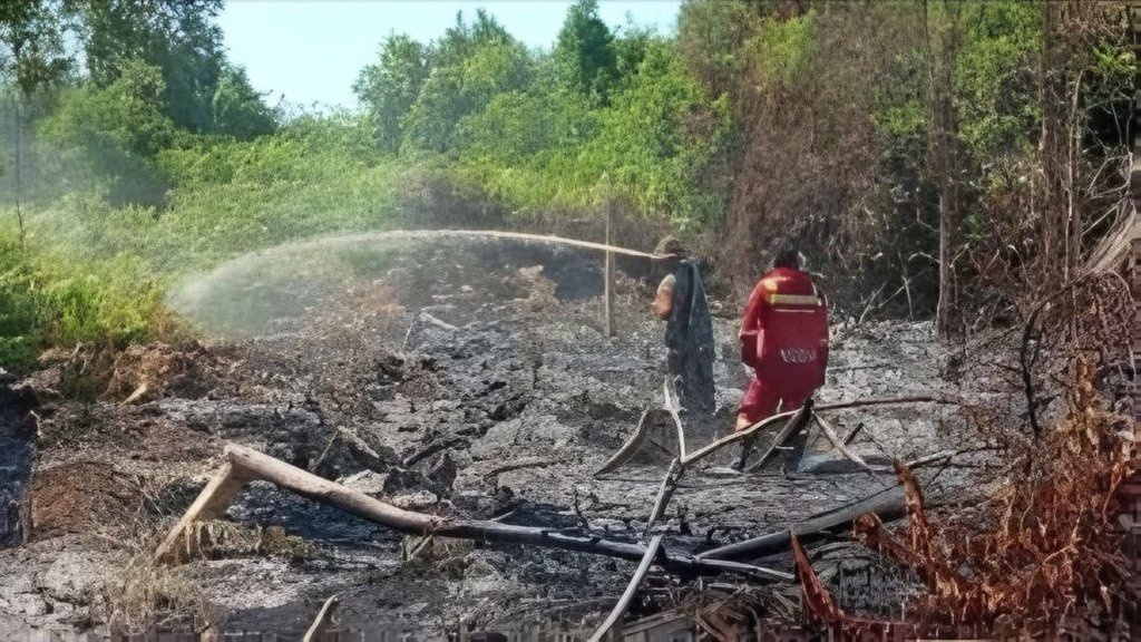 Karhutla Gambut Seluas 1 Ha di Kampar Diduga Sengaja Dibakar Karhutla Gambut Seluas 1 Ha di Kampar Diduga Sengaja Dibakar