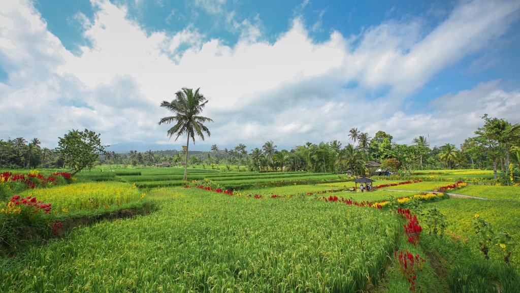 Ijen Golden Route Kenalkan Tempat Wisata Hidden Gem Banyuwangi Ijen Golden Route Kenalkan Tempat Wisata Hidden Gem Banyuwangi