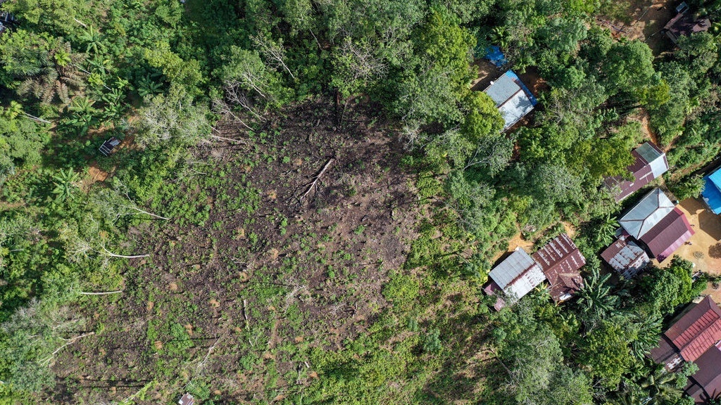 DPD RI Dukung Gerakan Patungan Beli Hutan DPD RI Dukung Gerakan Patungan Beli Hutan