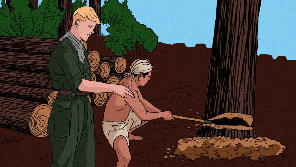 Benarkah Belanda Membiarkan Hutan Indonesia Tetap Perawan? Benarkah Belanda Membiarkan Hutan Indonesia Tetap Perawan?