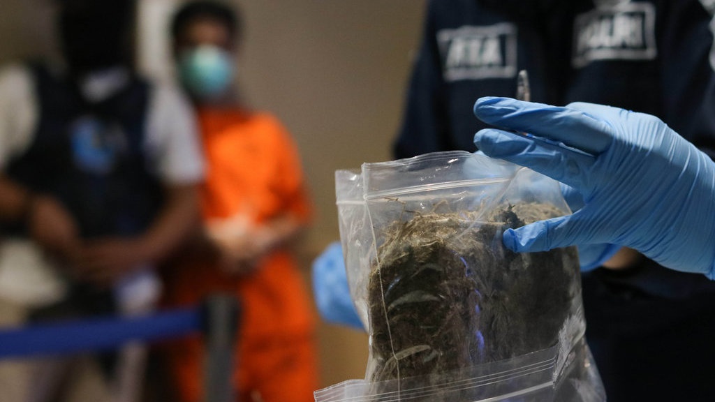Anak Bupati di Riau Positif Narkoba Karena Asap Ganja, Bisa? Anak Bupati di Riau Positif Narkoba Karena Asap Ganja, Bisa?