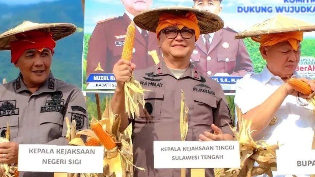 Kajati Sulteng Panen Jagung Program Jaksa Mandiri Pangan di Sigi Kajati Sulteng Panen Jagung Program Jaksa Mandiri Pangan di Sigi