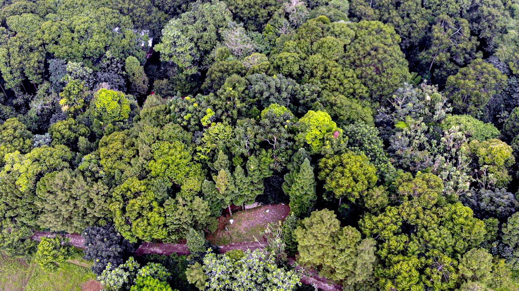 Senyum Asa Ibu Pelestari Hutan Cipayung Senyum Asa Ibu Pelestari Hutan Cipayung