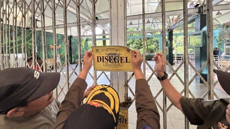 Izin Bandung Zoo Dicabut, Kemenhut Ambil Alih Nasib Satwa Izin Bandung Zoo Dicabut, Kemenhut Ambil Alih Nasib Satwa
