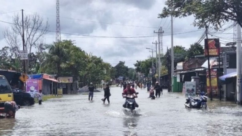 Tanggul Sungai Tuntang Jebol, Jalur Purwodadi-Semarang Terputus Tanggul Sungai Tuntang Jebol, Jalur Purwodadi-Semarang Terputus