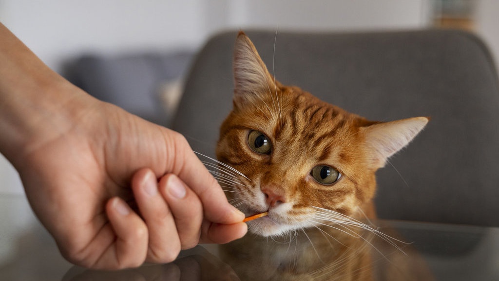 10 Snack Kucing yang Bagus untuk Si Anak Bulu Kesayangan 10 Snack Kucing yang Bagus untuk Si Anak Bulu Kesayangan