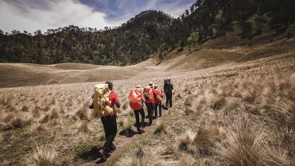 EIGER Siapkan Ekspedisi Sumatra hingga Kompetisi EISCC 2026 EIGER Siapkan Ekspedisi Sumatra hingga Kompetisi EISCC 2026