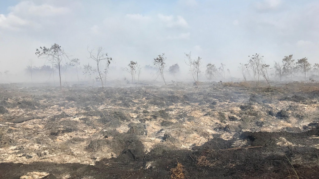 Karhutla di Bengkalis Riau Belum Padam, Sumber Air Minim Karhutla di Bengkalis Riau Belum Padam, Sumber Air Minim