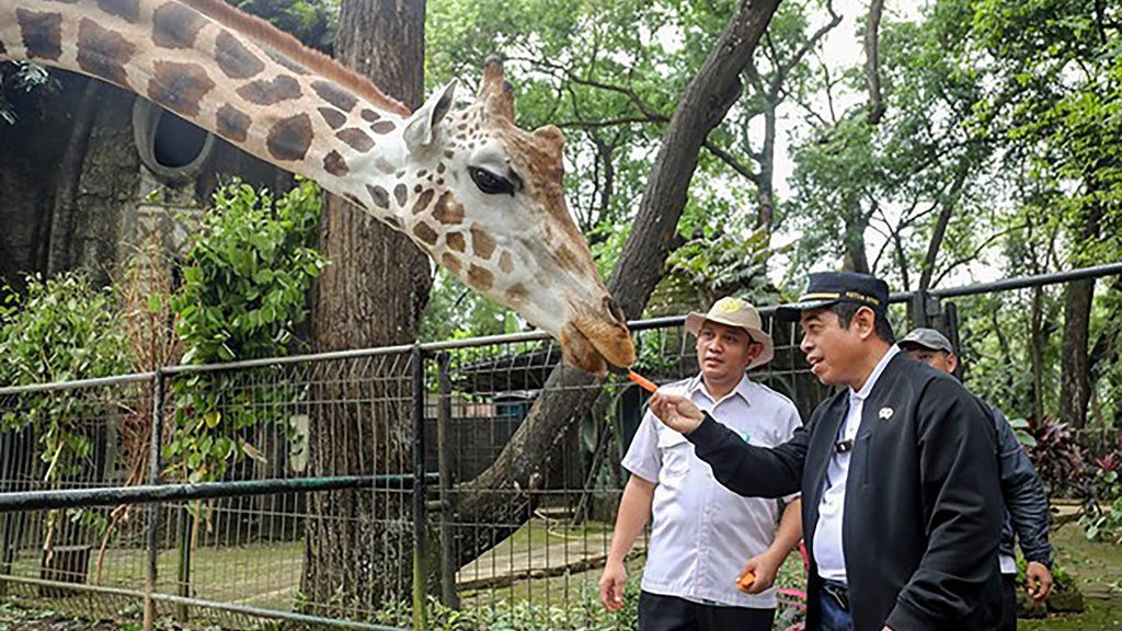 DPRD DKI Dorong Harga Tiket Ragunan Tetap Terjangkau DPRD DKI Dorong Harga Tiket Ragunan Tetap Terjangkau