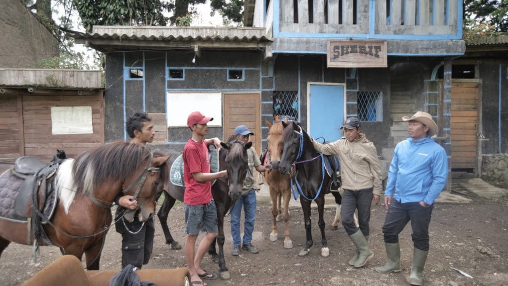 Kampung Koboi Tugu Selatan Dorong Transformasi Desa BRILiaN Kampung Koboi Tugu Selatan Dorong Transformasi Desa BRILiaN