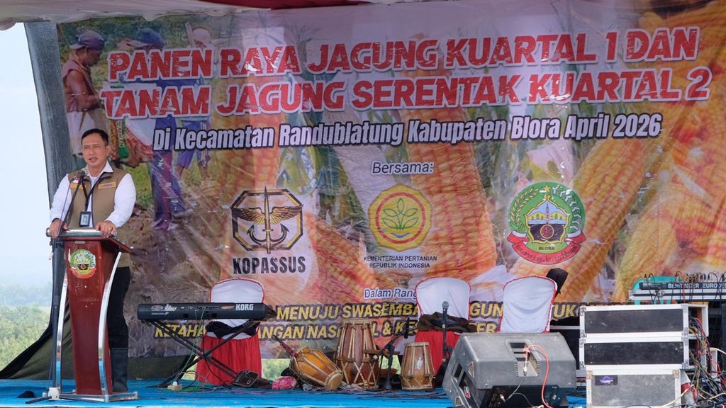 BULOG Dukung Panen Jagung dan Tanam Serentak di Blora BULOG Dukung Panen Jagung dan Tanam Serentak di Blora