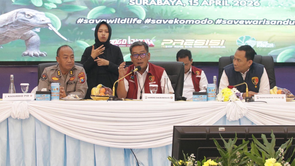 Polda Jatim Tangkap Sindikat Perdagangan Satwa Termasuk Komodo Polda Jatim Tangkap Sindikat Perdagangan Satwa Termasuk Komodo