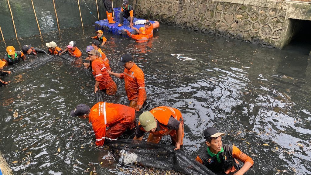 Pramono Sebut 6,5 Ton Ikan Sapu-Sapu Telah Dibersihkan Pramono Sebut 6,5 Ton Ikan Sapu-Sapu Telah Dibersihkan