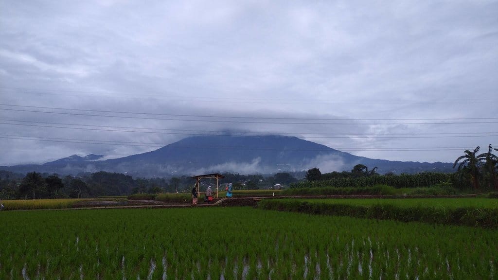 Gunung Gede Terbakar, Kawah Wadon Jadi Titik Api Gunung Gede Terbakar, Kawah Wadon Jadi Titik Api