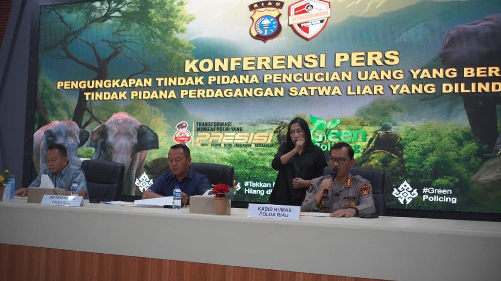 Polda Riau Ungkap TPPU Gading Gajah, Temukan Aliran Dana Rp1,8 M Polda Riau Ungkap TPPU Gading Gajah, Temukan Aliran Dana Rp1,8 M