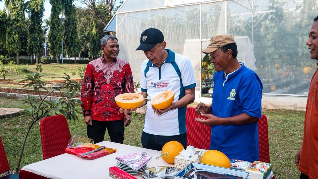 Sentra Kemensos di Bekasi Panen Melon Hasil Program Pemberdayaan Sentra Kemensos di Bekasi Panen Melon Hasil Program Pemberdayaan