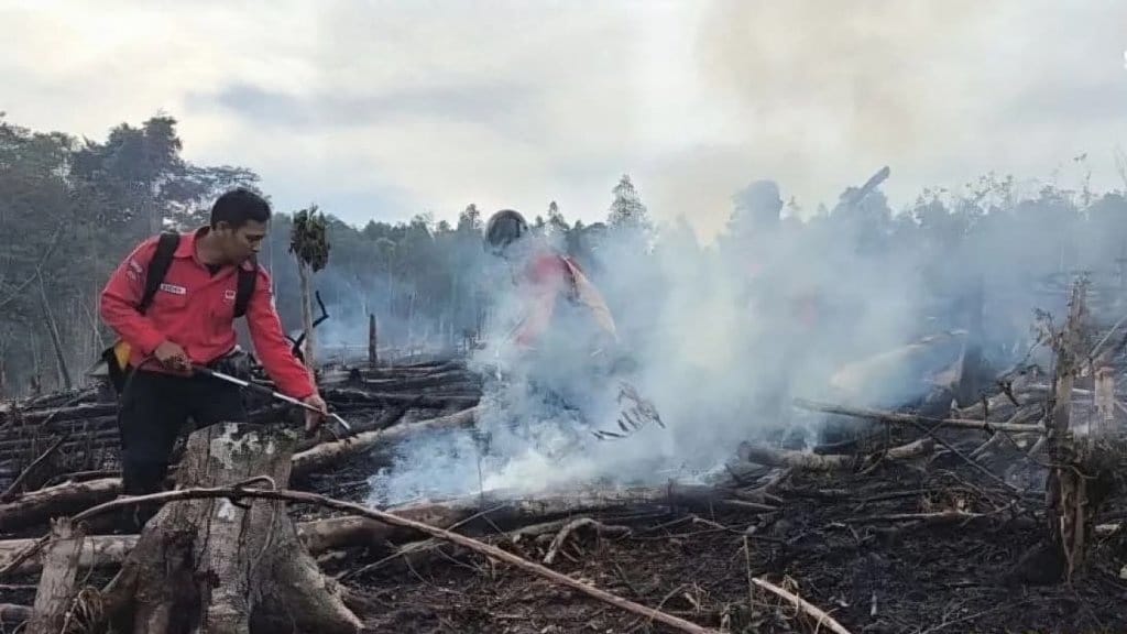 305 Hektare Lahan di Sumsel Hangus Terbakar Juni Ini 305 Hektare Lahan di Sumsel Hangus Terbakar Juni Ini