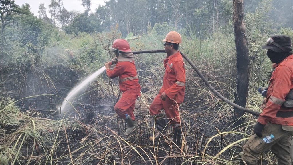 Karhutla OKI Tembus 6 Hektare dalam 2 Hari, Personel Dikerahkan Karhutla OKI Tembus 6 Hektare dalam 2 Hari, Personel Dikerahkan
