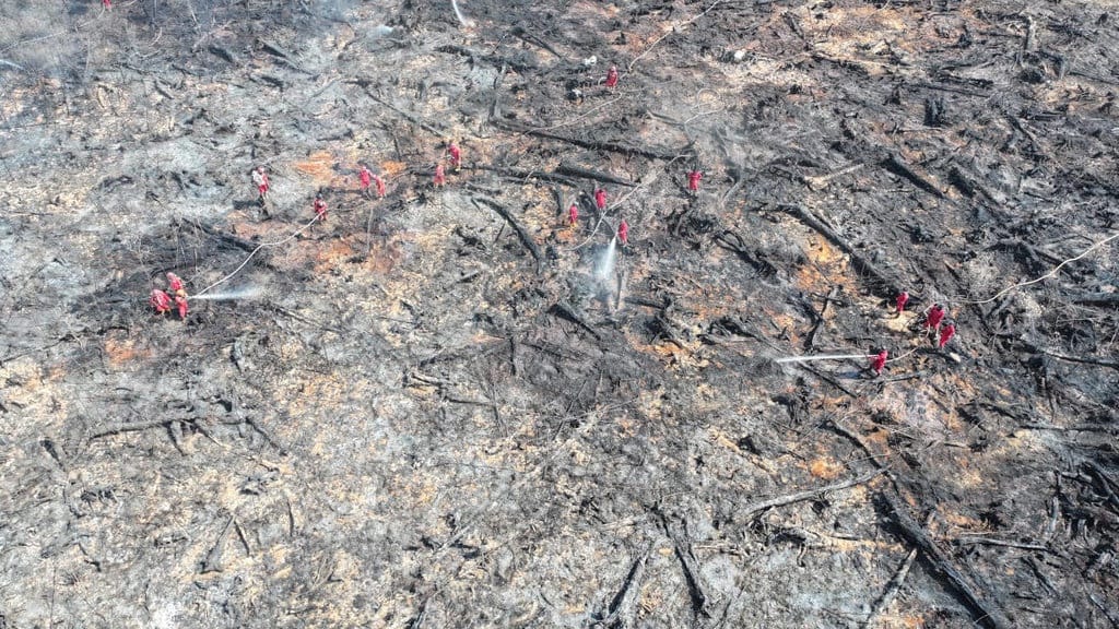 Karhutla di OKI: Target Padam Hari Ini, Diduga Sengaja Dibakar Karhutla di OKI: Target Padam Hari Ini, Diduga Sengaja Dibakar