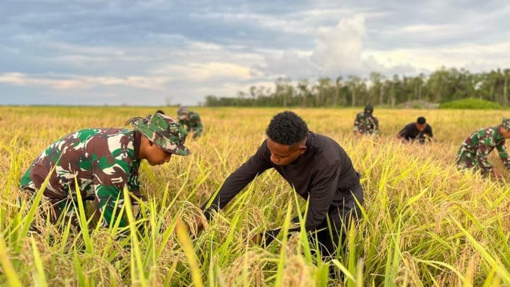 Bulog: 102 Ribu Hektare Papua Selatan Bakal Jadi Kawasan Pangan Bulog: 102 Ribu Hektare Papua Selatan Bakal Jadi Kawasan Pangan