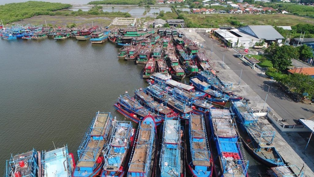 Di Balik Subsidi Solar untuk Kapal Ikan Besar Di Balik Subsidi Solar untuk Kapal Ikan Besar