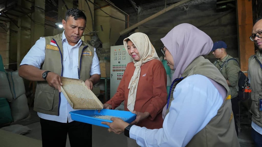 Dirut BULOG Tinjau Kualitas Beras Mitra Penggilingan di Demak Dirut BULOG Tinjau Kualitas Beras Mitra Penggilingan di Demak