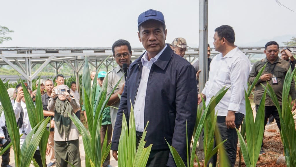 Amran Ungkap Negara Merugi Rp98 T akibat Beras Fortifikasi Palsu Amran Ungkap Negara Merugi Rp98 T akibat Beras Fortifikasi Palsu