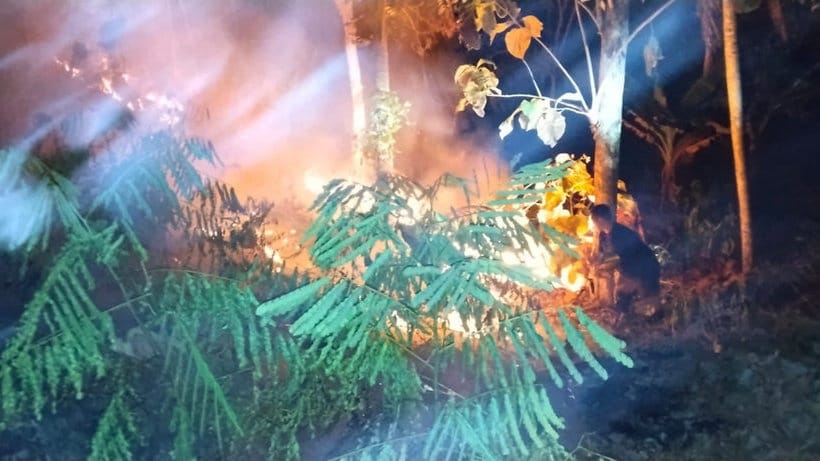 Kebakaran Hutan di Sulsel dan Jateng Akibat Musim Kemarau Kebakaran Hutan di Sulsel dan Jateng Akibat Musim Kemarau