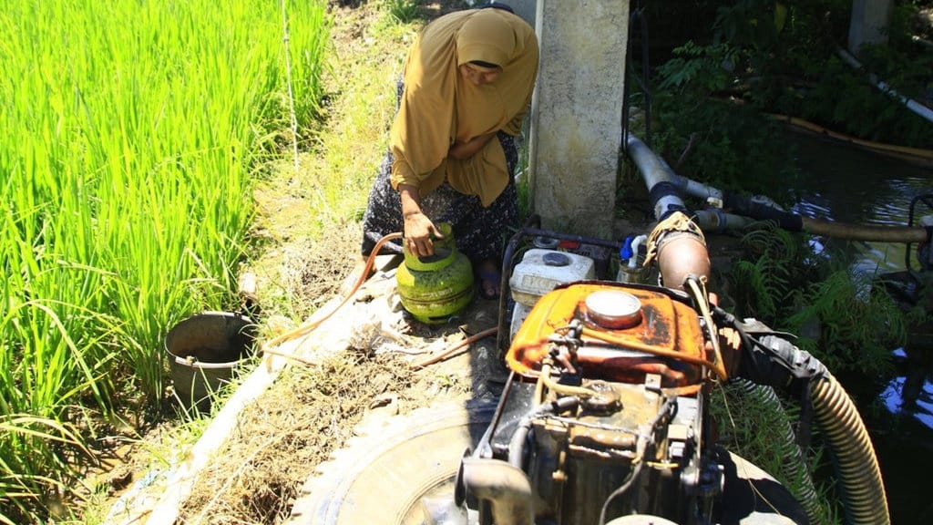 Gas Melon Masuk Sawah: Siasat Petani Aceh Akali Krisis Air Gas Melon Masuk Sawah: Siasat Petani Aceh Akali Krisis Air