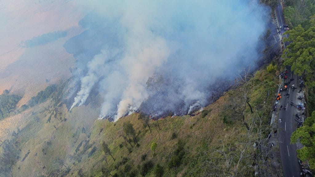 Mengapa Kawasan Bromo Amat Rentan Dilanda Karhutla? Mengapa Kawasan Bromo Amat Rentan Dilanda Karhutla?